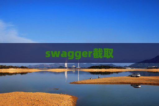 swagger截取